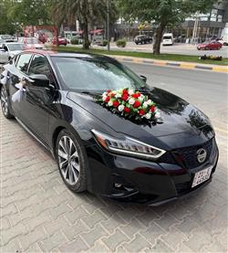 نيسان ماكسيما